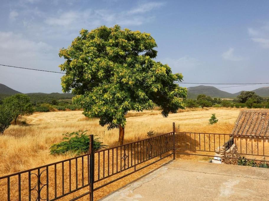 Ferienwohnung Cortijo Calma - Countryside Peace & Tranquility Oria Exterior foto