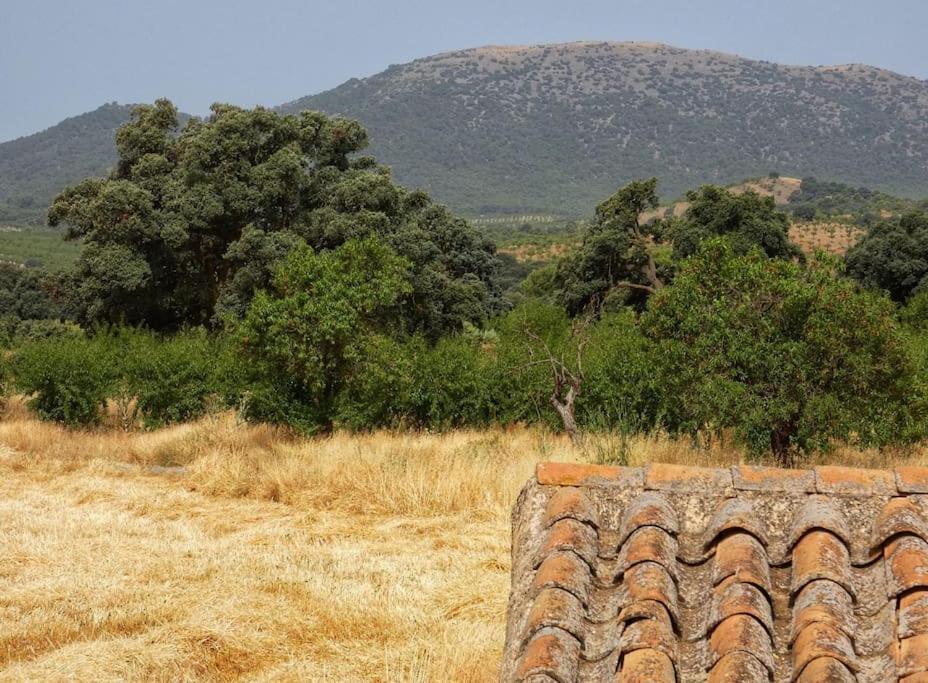 Ferienwohnung Cortijo Calma - Countryside Peace & Tranquility Oria Exterior foto