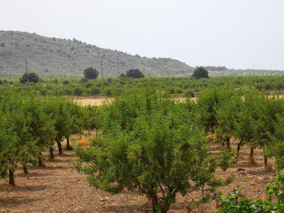Ferienwohnung Cortijo Calma - Countryside Peace & Tranquility Oria Exterior foto